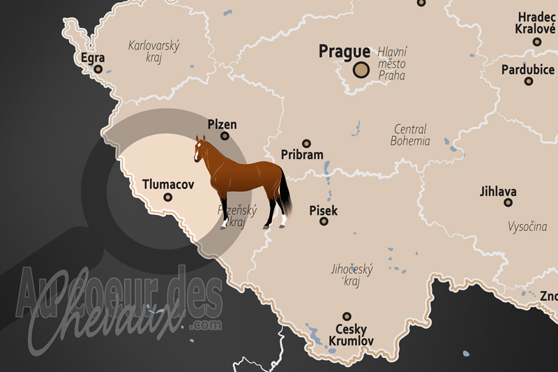 La localisation de Tlumacov en Tch�quie