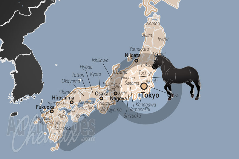 La localisation de Tokyo au Japon