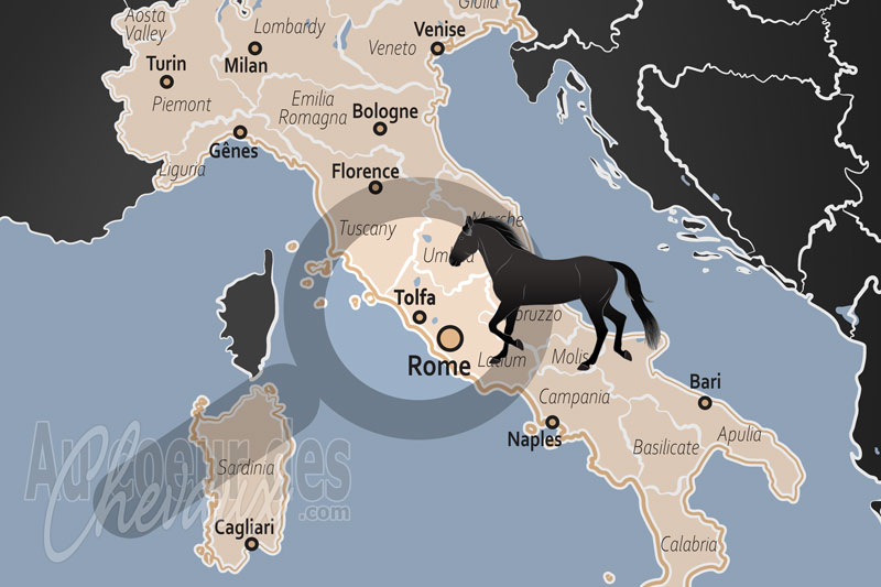 La localisation de Tolfa en Italie
