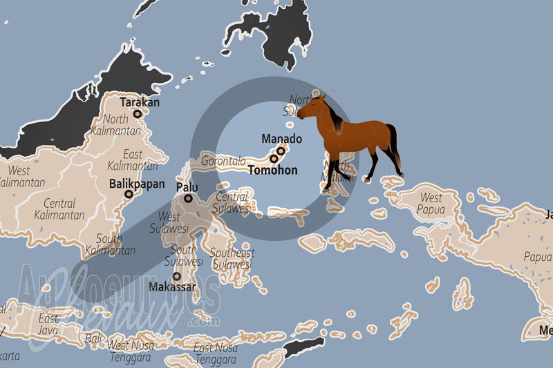 La localisation de Tomohon en Indon�sie