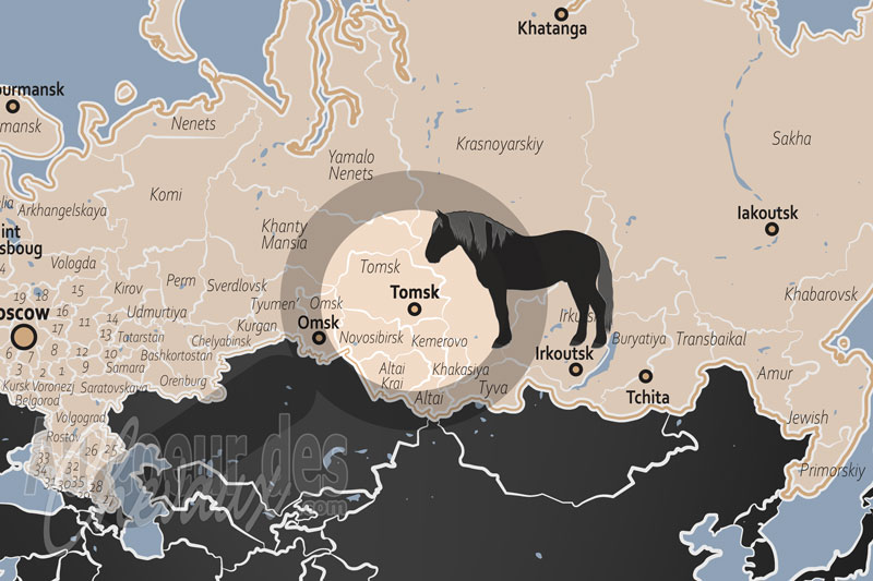 La localisation de Tomsk en Russie