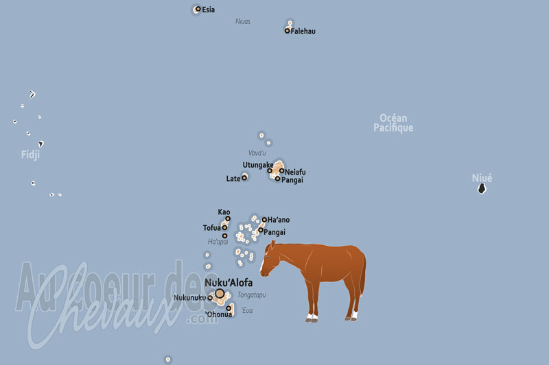 Le Tonga, un compagnon insulaire entre tradition et n�cessit�