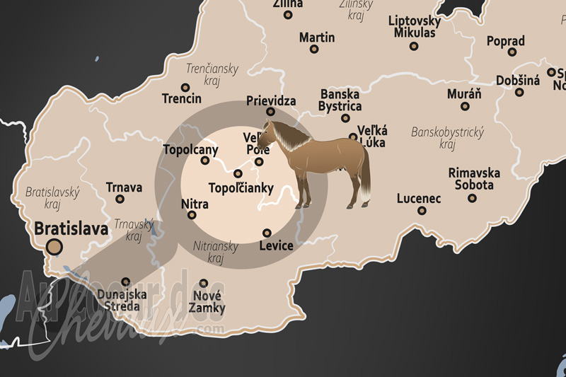 La localisation de Topol'cianky en Slovaquie