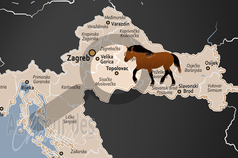 Topolovac, �picentre de la conservation du cheval de posavina en croatie