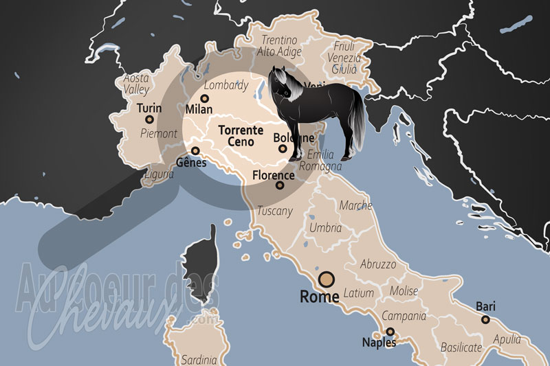 La localisation de Torrent Ceno en Italie