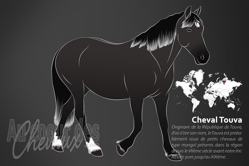 Le Cheval Touva, l'h�ritier des cavaliers de la steppe sib�rienne
