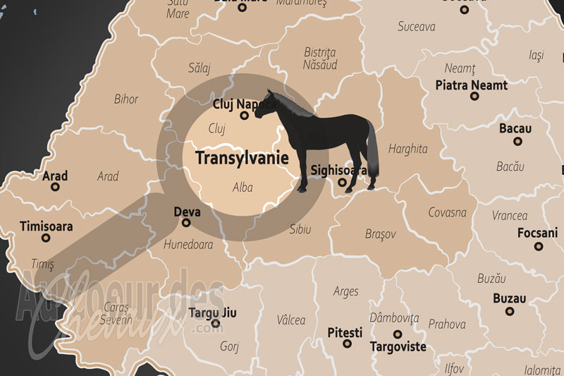 La localisation de la Transylvanie en Roumanie