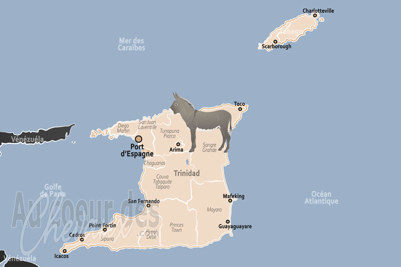Trinit� et Tobago, entre tradition hippique et h�ritage colonial