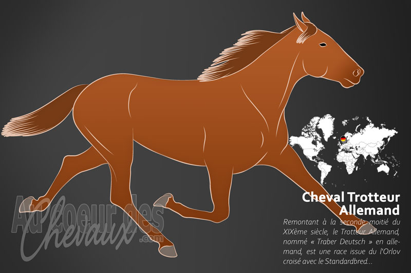 Le Cheval Trotteur Allemand, la qu�te de la vitesse pure