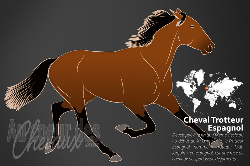 Le Cheval Trotteur Espagnol, l'�pop�e insulaire du trot ib�rique