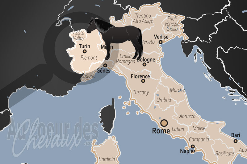 La localisation de Turin en Italie