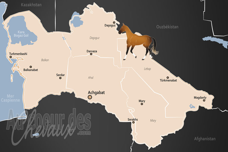 Le Turkm�nistan, le sanctuaire de l'akhal-teke