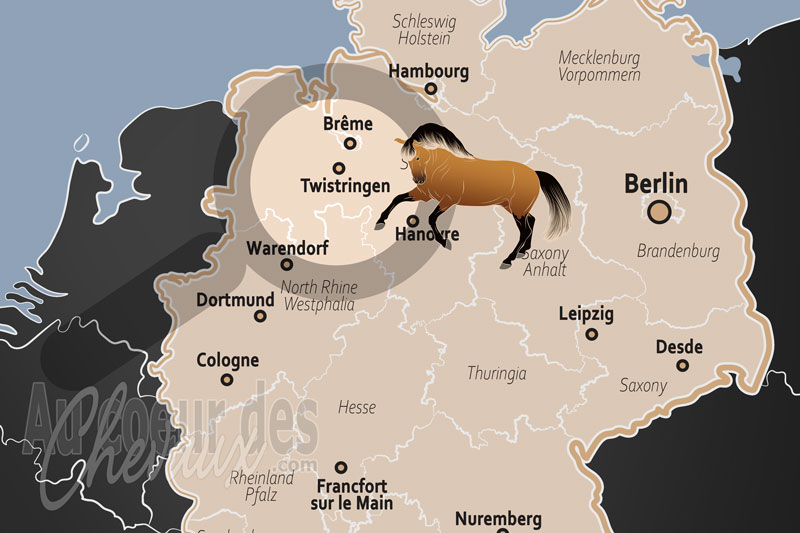 Twistringen, un p�le d'excellence �questre au c?ur du district de diepholz