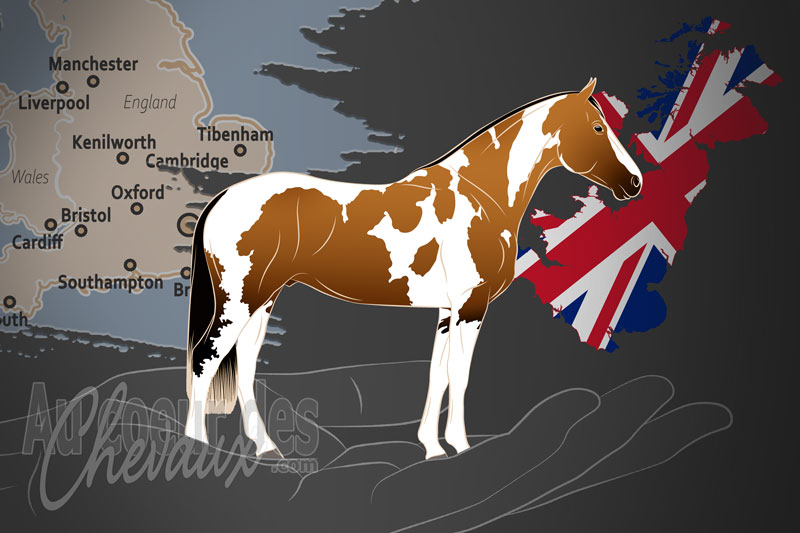 L'Association Britannique de l'American Paint Horse, une organisation qui g�re le paint horse au royaume uni