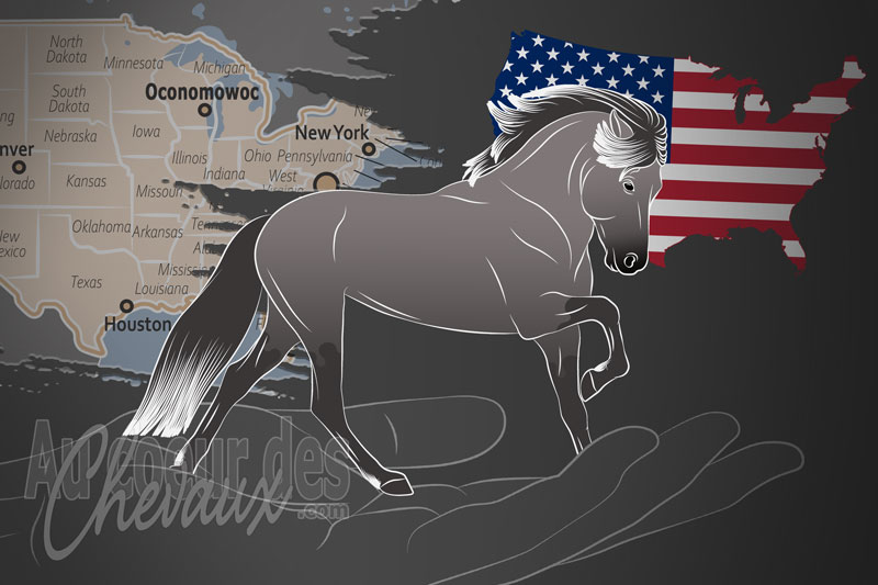 Le Congr�s Am�ricain du Cheval Islandais, une organisation qui g�re le cheval islandais aux �tats unis