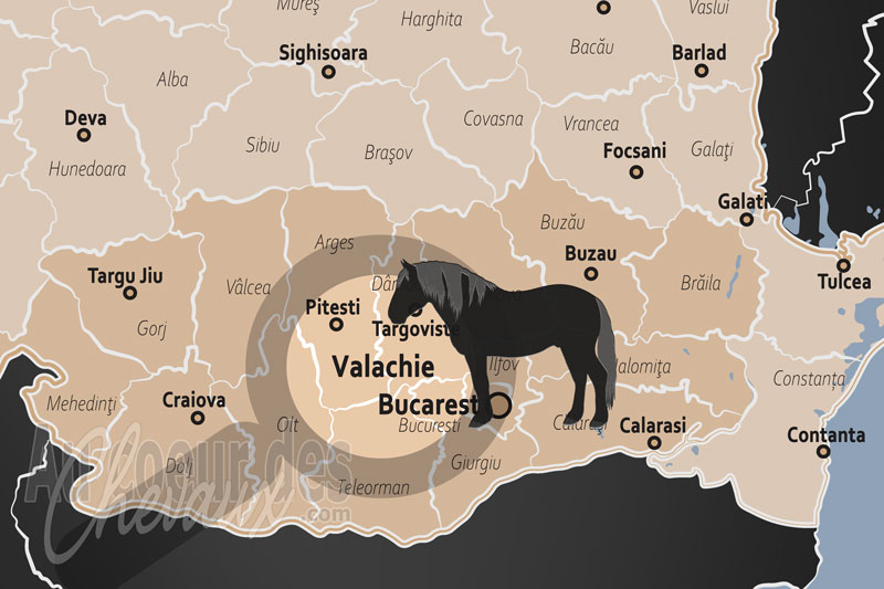 La Valachie, les sabots d'or entre les carpates et le danube