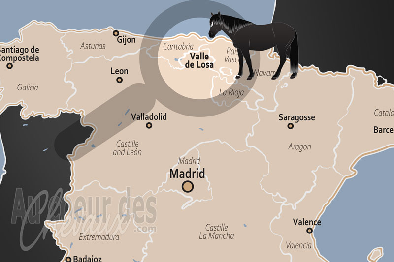Valle de Losa, le berceau et le sanctuaire du cheval losino