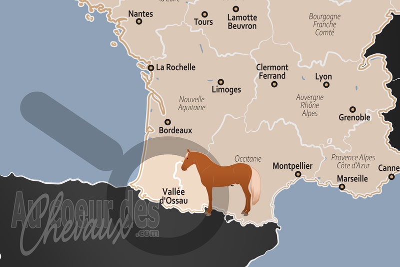 La Vall�e d'Ossau, le galop des cimes au c?ur de l'�me b�arnaise