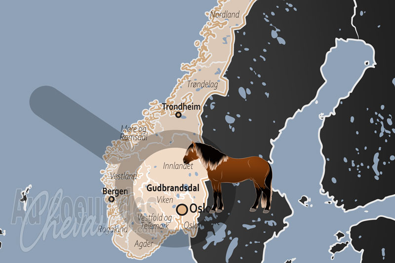 La Vall�e de Gudbrandsdal, le berceau de bronze des colosses de norv�ge
