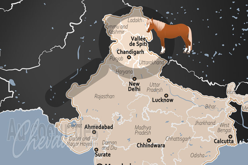 La Vall�e de Spiti, l'�pop�e de glace des centaures du d�sert froid