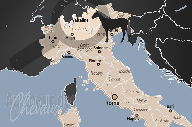 La Valteline, le galop des cimes entre glaciers et terres de vigne