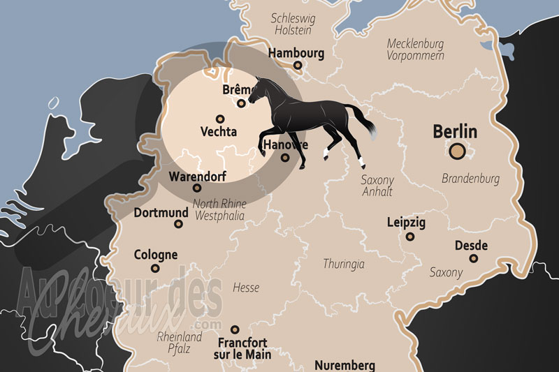 Vechta, �picentre mondial de l'�levage et du cheval de sport oldenbourg