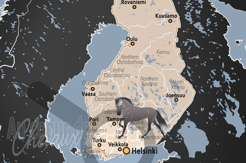 Veikkola, un sanctuaire �questre au c?ur de la nature du kirkkonummi