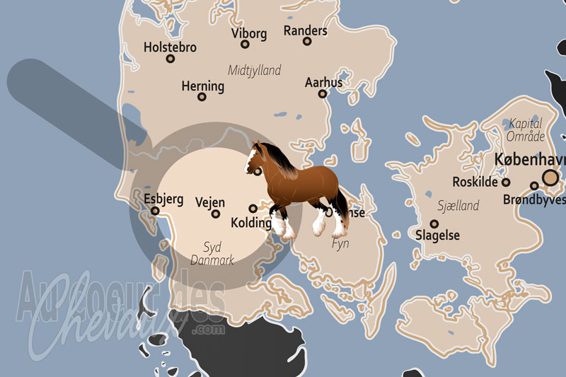 La localisation de Vejen au Danemark