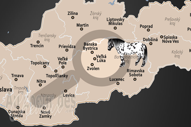 La localisation de Vel'k� L�ka en Slovaquie