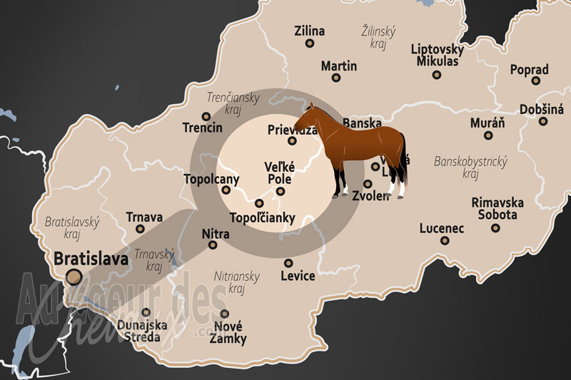 La localisation de Vel'k� Pole en Slovaquie