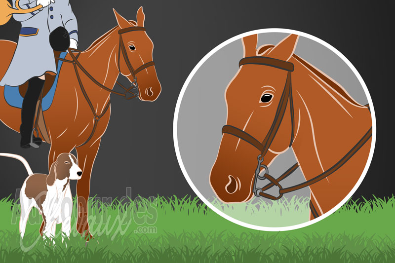 La Chasse � cheval, entre tradition s�culaire, �quitation de pleine nature et �volution soci�tale