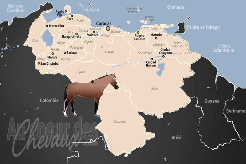 Le Venezuela, l'�me des llanos et l'h�ritage de la libert�