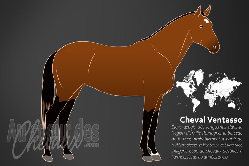 Le Cheval Ventasso, le gardien des sommets de l'�milie-romagne