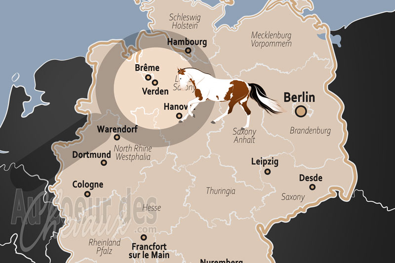 La localisation de Verden en Allemagne