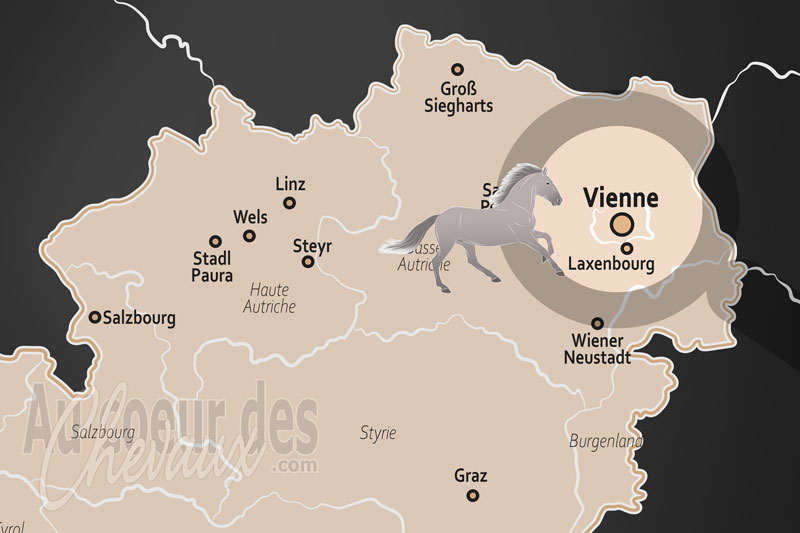 Vienne, capitale mondiale de l'art �questre classique et de la tradition imp�riale