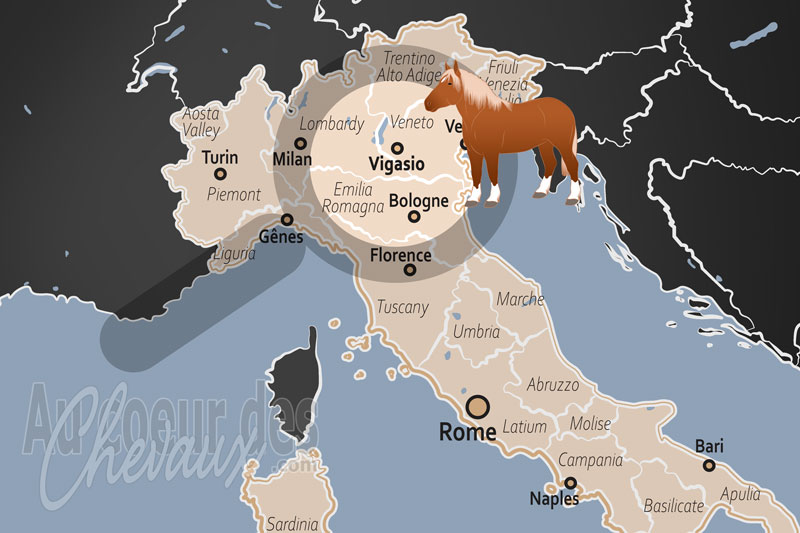 La localisation de Vigasio en Italie