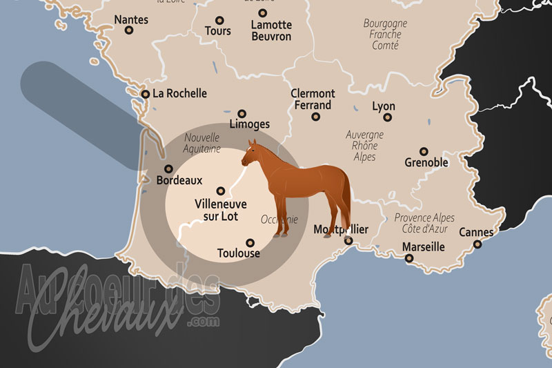 Villeneuve sur Lot, un carrefour �questre entre tradition et modernit� en nouvelle-aquitaine