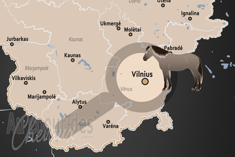 La localisation de Vilnius en Lituanie