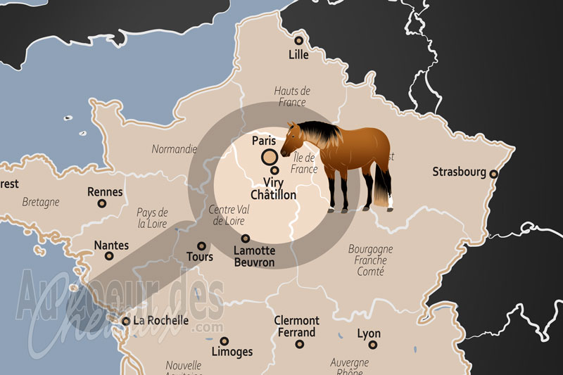 La localisation de Viry Ch�tillon en France