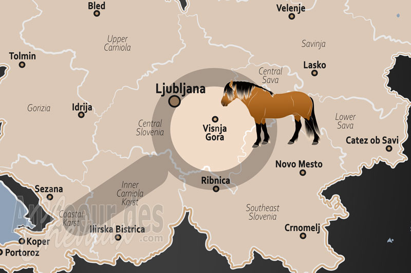 La localisation de Visnja Gora en Slov�nie