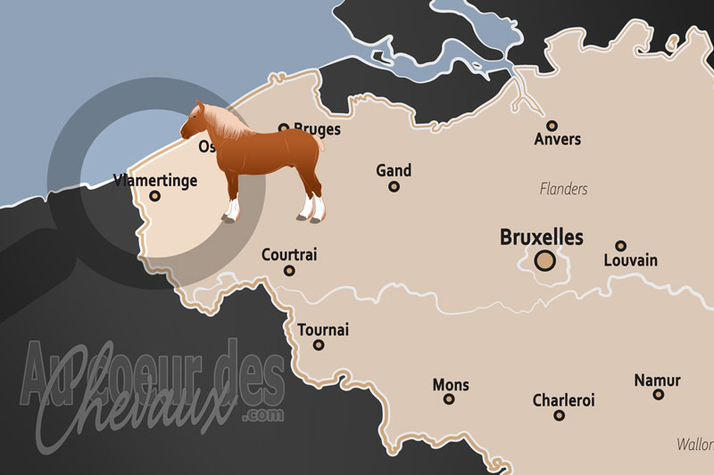 La localisation de Vlamertinge en Belgique