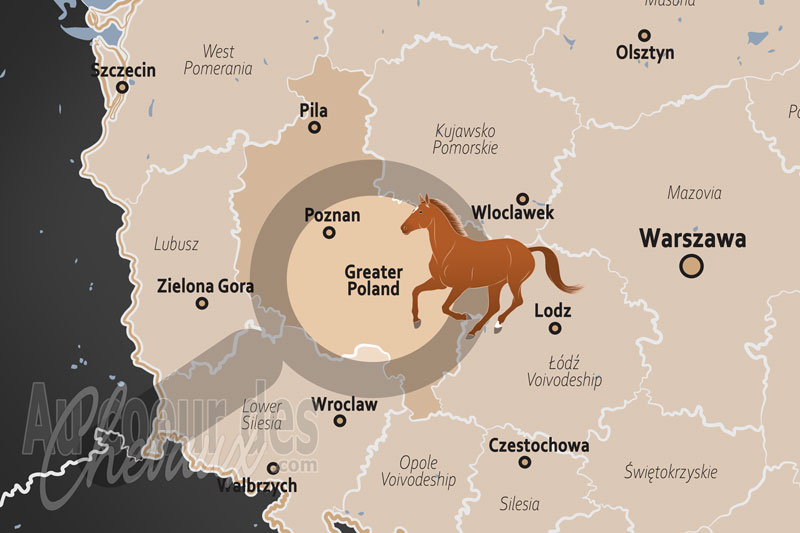 La localisation de la Vo�vodie de Grande Pologne en Pologne