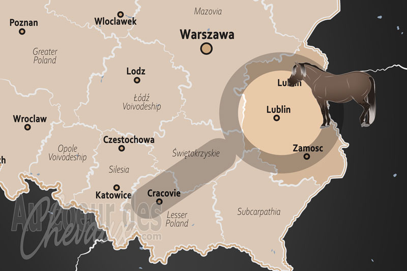 La localisation de la Vo�vodie de Lublin en Pologne