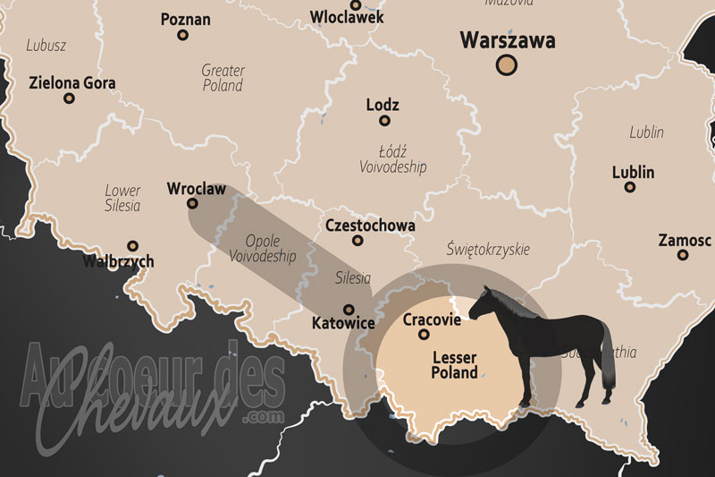La localisation de la Vo�vodie de Petite Pologne en Pologne
