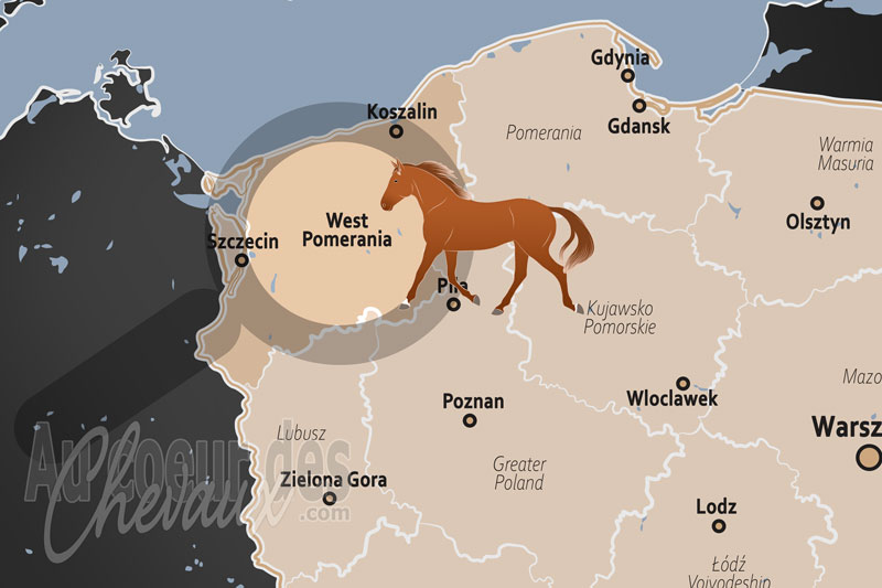 La localisation du Vo�vodie de Pom�ranie occidentale en Pologne
