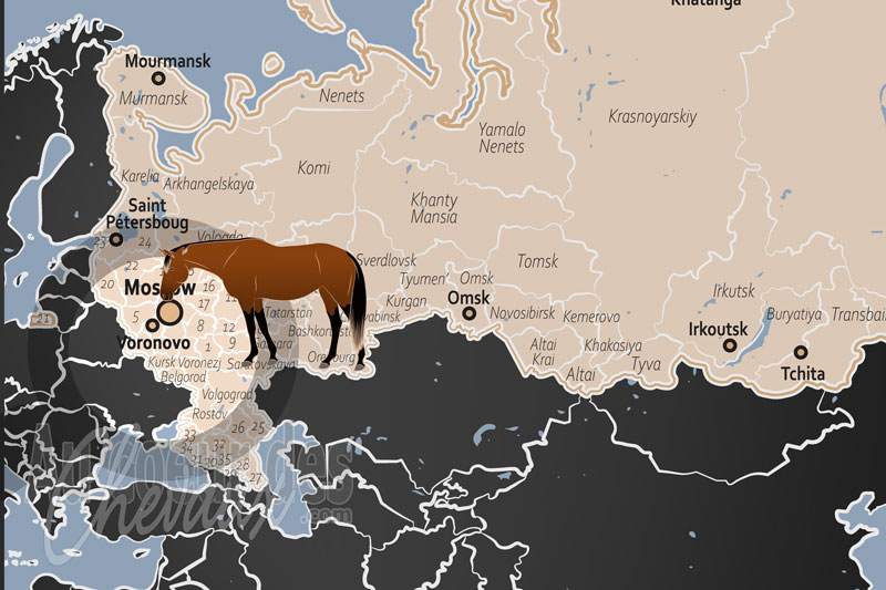 La localisation de Voronovo en Russie