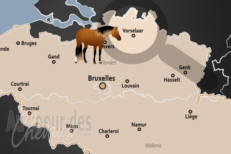 La localisation de Vorselaar en Belgique