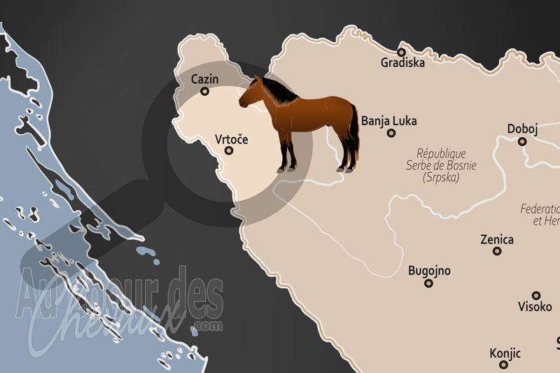 La localisation de Vrtoce en Bosnie Herz�govine