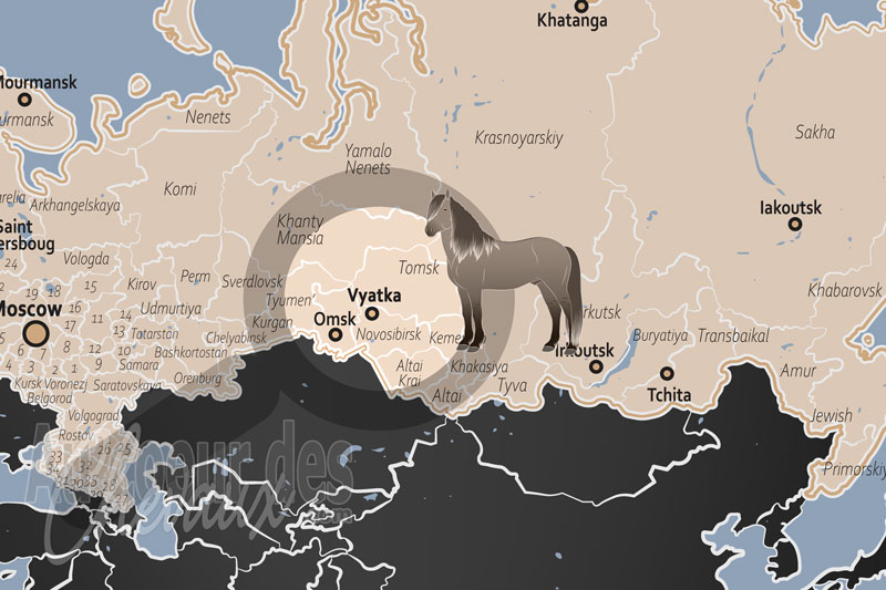 La localisation de Vyatka en Russie