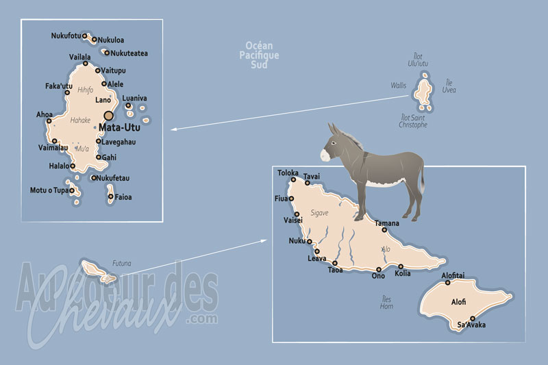 Wallis et Futuna, une culture fa�onn�e par le porc et l'oc�an